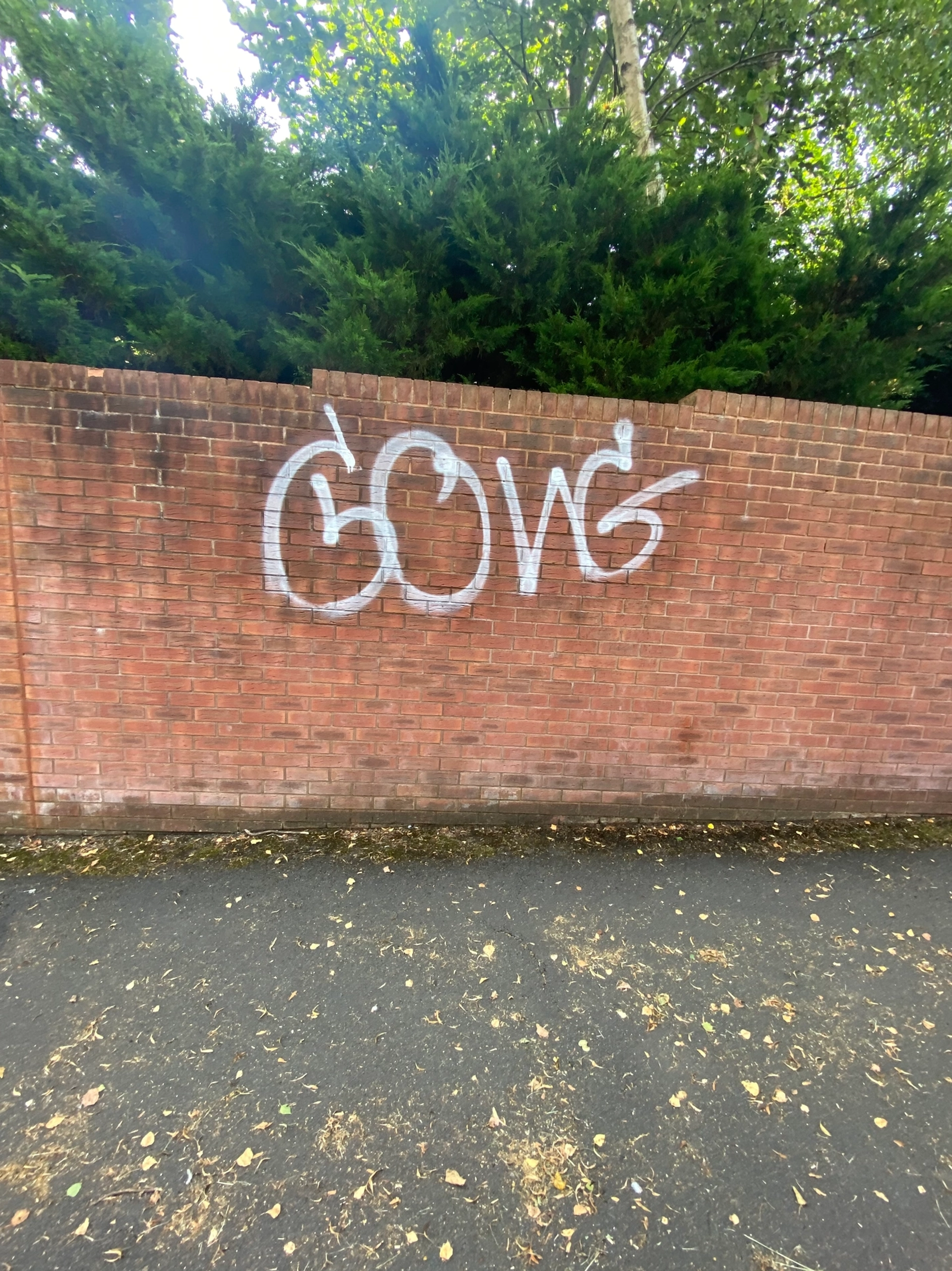 Graffiti removal example 4